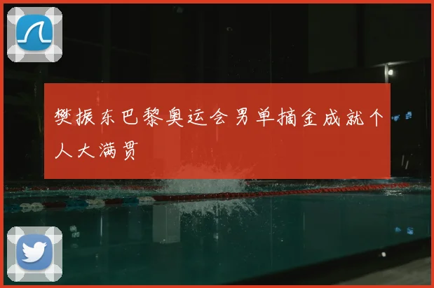 樊振东巴黎奥运会男单摘金成就个人大满贯